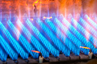 Seisdon gas fired boilers